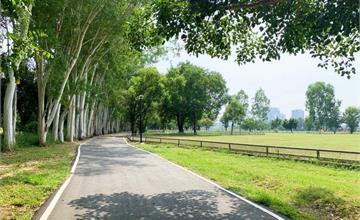 苗栗｜竹南運動公園：17公頃超大綠地公園盡情玩！兒童遊戲場、游泳池玩水、溜冰場，大人小孩都開心