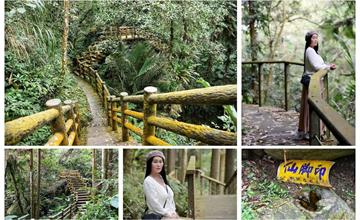 嘉義｜仙人堀杉林步道：健行超親民原始杉林步道，觀賞自然生態水蝕壺穴！