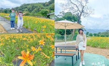 桃園大溪｜百吉休閒農場：北部金針花毯秘境！大片浪漫金黃花海，賞金針花不用再跑花東！
