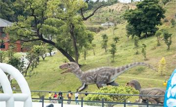 侏儸紀公園翻版！全台最大鳥園「九九峰動物樂園」搶先看