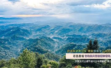 【台中住宿】和平區若茵農場 | 百萬夜景、爆美雲海、琉璃光一次滿足，還加碼滿天星星！