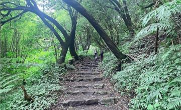台北｜陽明山橫嶺古道、小隱潭瀑布，小隱隱於林的絕美秘境！