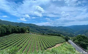 新北｜南山寺景觀平台：健行步道五分鐘，賞360度無死角茶山與山嵐之美！