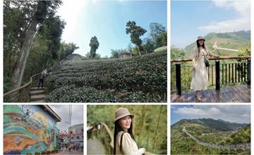 嘉義｜雲之南道步道：健行步道賞夢幻茶園景緻，漫步到全台最高的景觀吊橋「太平雲梯」！