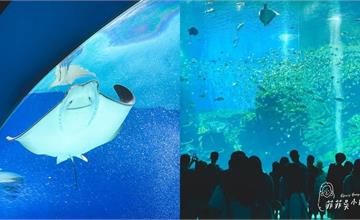 桃園 | Xpark水族館最速攻略！ 輕鬆遊館免走冤枉路 路線推薦/門票優惠/展區介紹