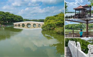 【台南景點】新營天鵝湖｜從觀景台一覽天然湖泊、綠意盎然的壯闊美景，環湖木棧道散步好愜意