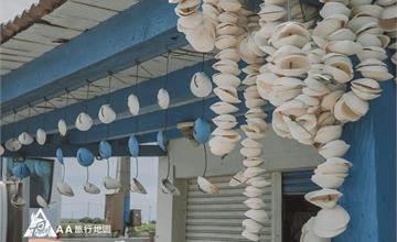 【雲林景點】「馬蹄蛤主題館」雲林口湖美食，滑竹筏、滑獨木舟、盪鞦韆玩法超豐富！