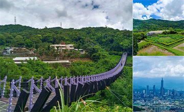 台北內湖｜白石湖吊橋：打卡座落山林間的紫色吊橋，輕鬆漫遊，步道健行、賞果園、看夜景一次GET！