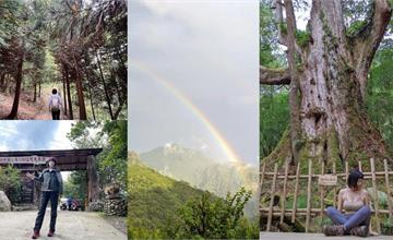 新竹尖石｜別被路程勸退！「上帝部落」司馬庫斯絕美巨木群、原始生態此生必遊！