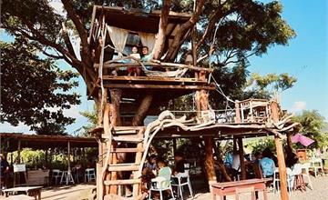 屏東|開門見山樹屋咖啡:爬上樹屋喝咖啡,重回童年的無憂時光!