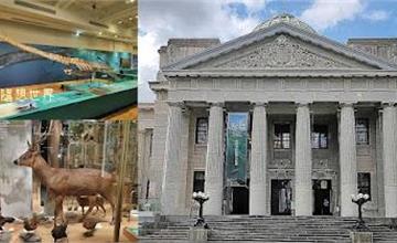 台北｜國立臺灣博物館：歷史最久博物館，了解臺灣自然史與文化，親子一同來場知性之旅