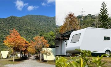秋冬露營賞美景！精選全台七大特色營地，看雲海、賞落羽松任君挑選