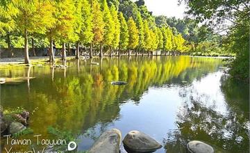 桃園｜月眉人工濕地生態公園：漫步水塘欣賞裝置藝術，打卡超好拍落羽松秘境！