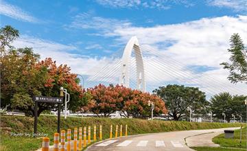 台中｜科湳愛琴橋：打卡台中知名地標！欒樹和抹茶湖一同入鏡，內行人都這樣拍