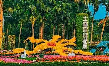 2022士林官邸菊展，歡慶20生日派對！