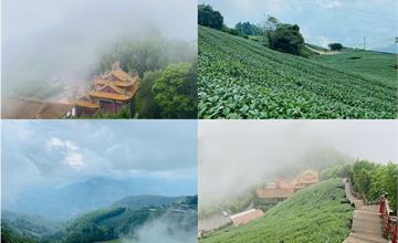嘉義｜二尖山步道：嘉義版抹茶山！翠綠茶園間的絕美木棧道，老少咸宜踏青首選
