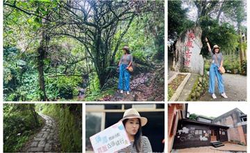 苗栗｜鳴鳳古道：仙氣滿滿的超熱門健行古道！親民路線輕鬆親近自然
