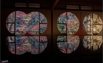 日本｜嵐山祐齋亭：京都超夯賞楓景點！染色藝術家工作室的鏡面賞楓秘境