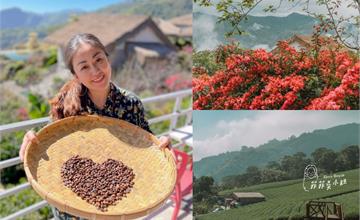 嘉義阿里山｜YUYUPAS優遊吧斯：部落限定山雲繚繞美景！炒咖啡豆體驗、鄒族歌舞表演，阿里山一日遊推薦
