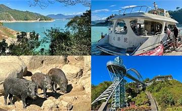 台南｜曾文水庫觀光遊艇之旅！飽覽壯闊山水美景，走訪飛鷹峽谷、餵食野生山豬