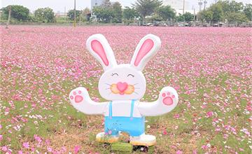彰化｜2023年南新農村花海藝術節！打卡夢幻波斯菊花海，浪漫賞花秘境推薦