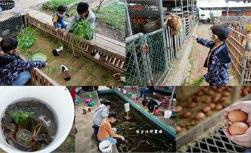 桃園大園｜陽榮休閒農場：超佛心親子農場推薦，平價體驗釣青蛙、螯蝦、撿雞蛋、餵動物！