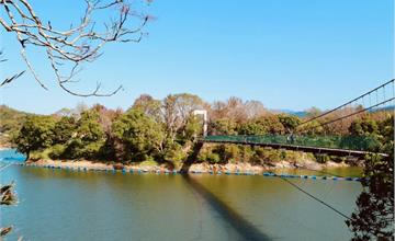 苗栗｜日新島：明德水庫湖心島中的隱藏版迷你動物園！輕鬆親近大自然與小動物