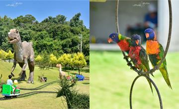 南投草屯｜九九峰動物樂園：巨型恐龍超吸睛！鸚鵡、可愛小動物、騎馬體驗樂到不想回家，南投親子景點推薦