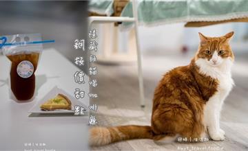 新竹竹北｜Le Chat 聊夏貓旅x咖啡：貓奴必收！結合貓咪美容及中途之家的寵物友善咖啡廳