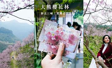 新北｜大熊櫻花林：絕美粉色櫻花林盛開！漫遊幽靜園區，打卡浪漫花海