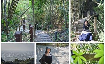 台中｜新田登山步道：漫步木棧階梯徜徉大自然間，遠眺台中好風光