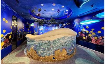 台中｜誤闖水族館找尼莫？台中超狂親子廁所超好拍！