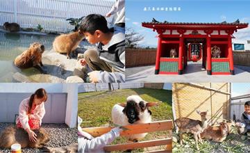 屏東｜鹿ㄦ島水豚生態園區：和萌呆水豚君共游，餵食梅花鹿和笑笑羊！墾丁超夯親子景點推薦