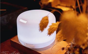 台中｜璞樹文旅 TREEART Hotel：以香氛療癒旅途疲憊！打造一秒入睡的好夢飯店！