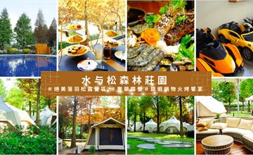 南投｜水与松森林莊園：有千坪落羽松的懶人露營！徜徉無邊際泳池和龍蝦火烤兩吃！