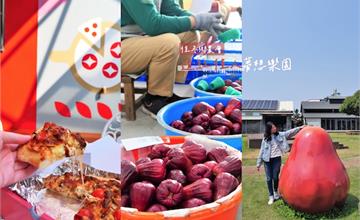 屏東｜透紅佳人夢想樂園：蓮霧主題園區！品嚐吹海風長大的蓮霧，體驗披薩DIY超有趣