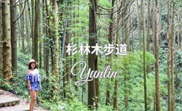 雲林｜杉木林步道：健行親民步道，享受避暑杉林秘境！順遊雲嶺之丘、五元二角超便利