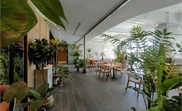 台中｜享得道Hotel In Joy Hotel：城市裡的綠洲行旅，免費自助式消夜及豐盛早餐！