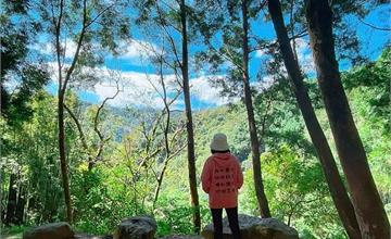 宜蘭｜肖楠步道：靜謐的森林秘境，走在清幽小徑遠眺群山環繞！