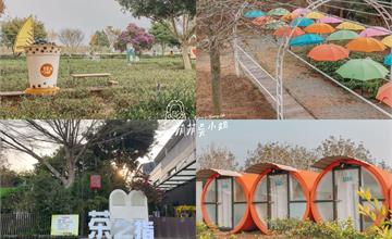 南投｜茶二指故事館：綠色茶園美拍、觀賞紅茶製程和入住特色水管屋！