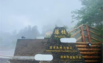 高雄｜藤枝國家森林遊樂區：夏日避暑好去處！沐浴森濤、四條步道雲霧美如仙境