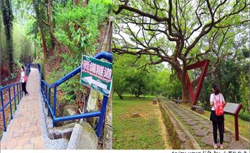 桃園｜角板山行館：參訪「台灣盧山」美景！季節限定梅花、蔣公故所、神秘戰備隧道都在這！
