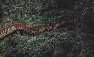 新竹｜嚴選9條登山步道、古道：從羽量級到挑戰級，還有此生必爬六星級步道推薦！