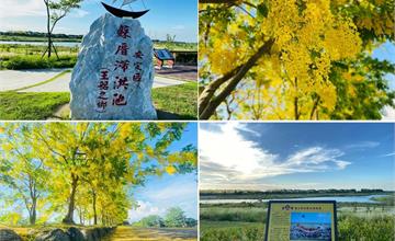 台南｜蘇林里河堤公園：浪漫黃金雨降下！季節限定阿勃勒花海，花瓣如雨，賞迷人夕景
