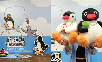 快訊｜PINGU企鵝家族「夏日避暑去」快閃中和環球！打卡點、周邊新品、活動資訊一次看！