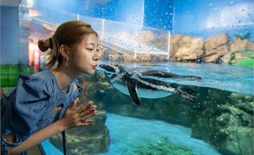 桃園｜「Xpark銀河七夕祭」：漫遊水族館體驗日本七夕百年傳統，輕鬆感受浪漫氛圍！