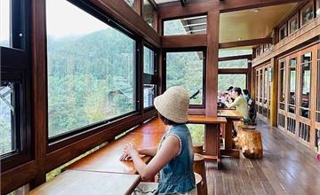 宜蘭｜太平山森林遊樂區：欣賞大自然原始樣貌，置身雲海咖啡廳玻璃景觀台眺望雲霧繚繞