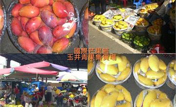 台南｜2023國際芒果節：芒果控必報到！高CP值各品種芒果齊聚一堂，還有新鮮芒果冰