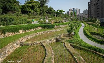 桃園｜大有梯田生態公園：離都市僅500公尺！極限體能王的森林挑戰！