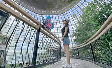 嘉義｜新嘉大昆蟲館：走進蝴蝶森林、觀賞超巨大昆蟲模型，假日限定超值互動體驗！